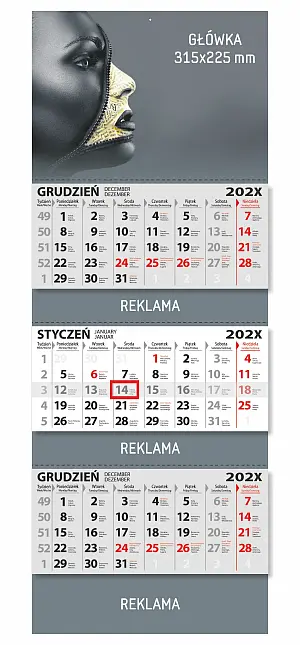 Trefaldiga kalendrar (315x830)